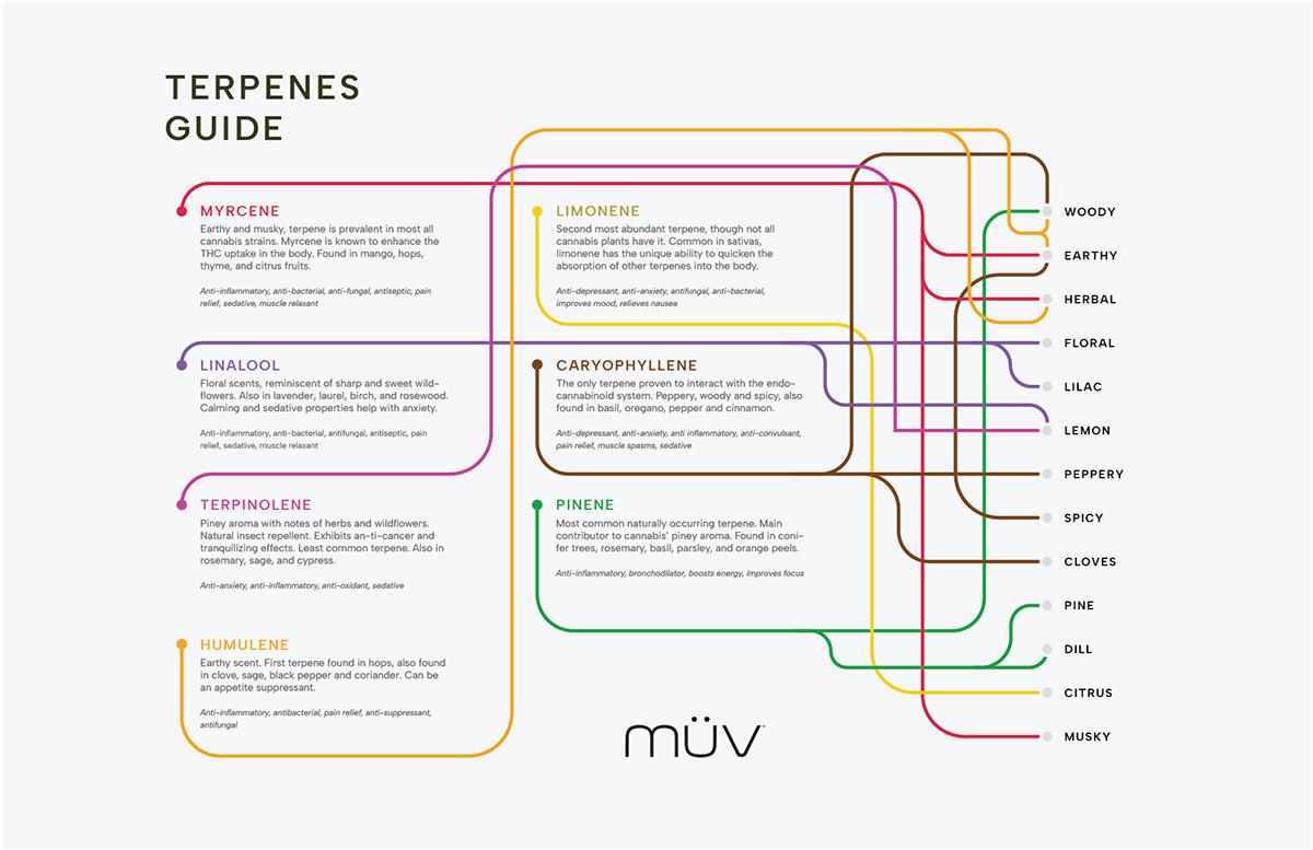 Terpenes Guide